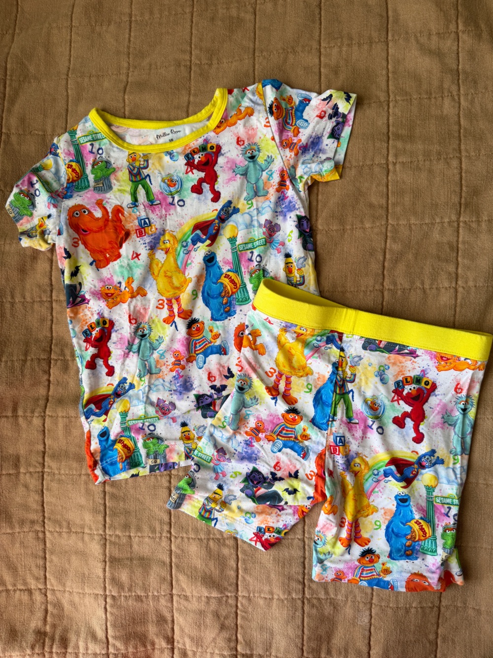 Millie Rose Bamboo Sesame Street Character Pajama Set NWOT (only washed)